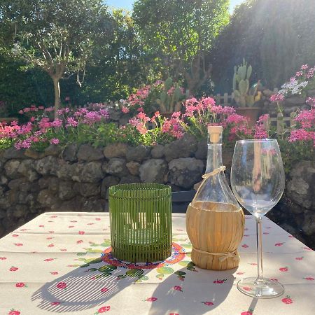 Etna Vintage Hotell Linguaglossa Eksteriør bilde