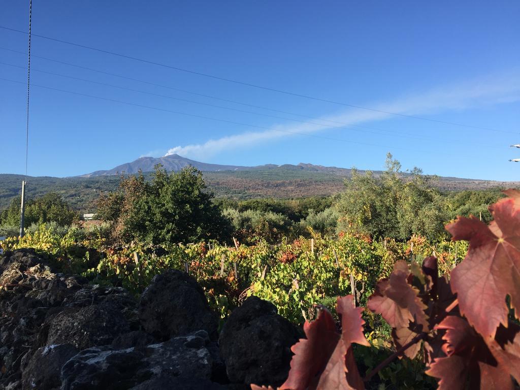 Etna Vintage Hotell Linguaglossa Eksteriør bilde